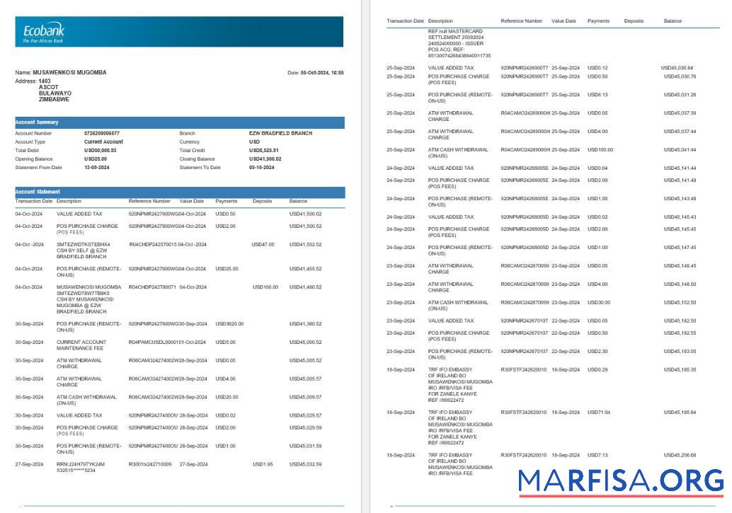 Downloadable Zimbabwe Ecobank bank statement word 4 pages 1 download for verification